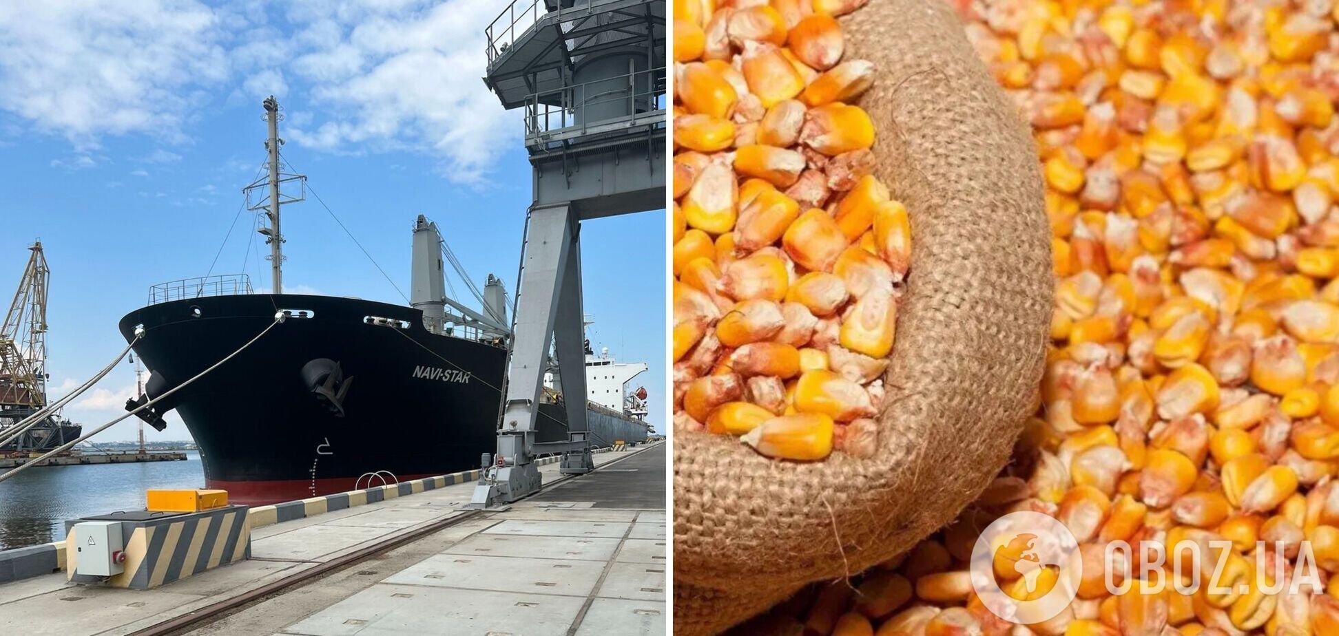 Отправка новых суден с украинских зерном ожидается уже 5 августа