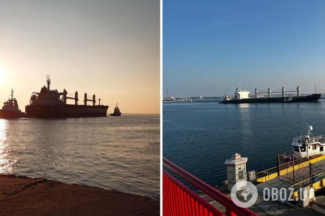 Экспорт через морские порты идет по 'зеленым коридорам'