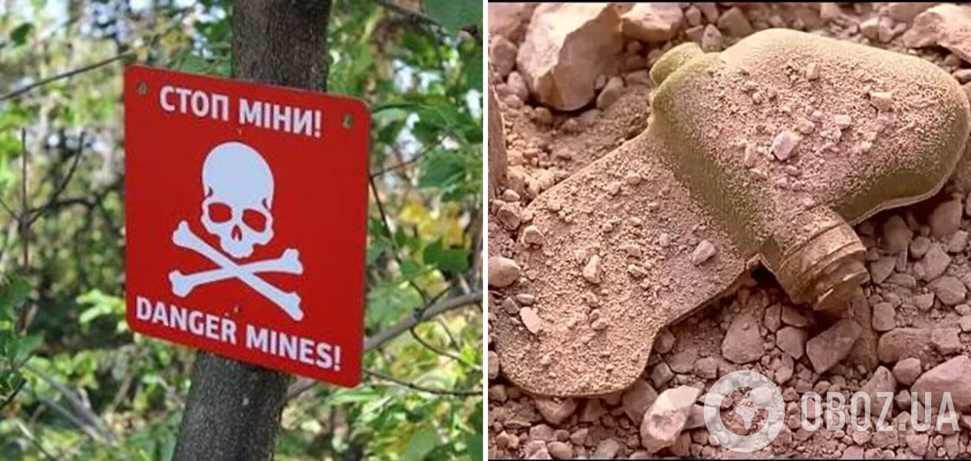 РФ использует противопехотные мины на Донбассе