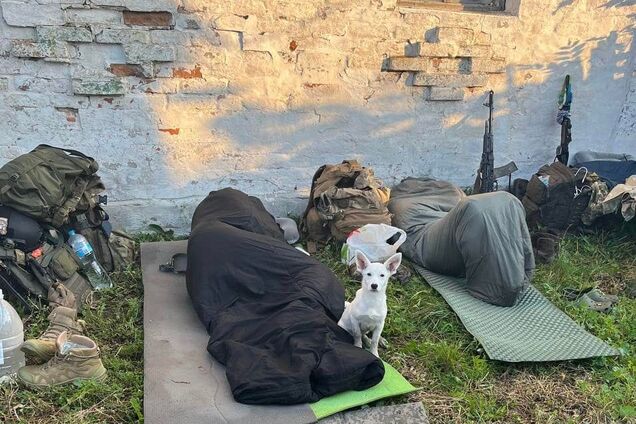 Нужно отдыхать от войны, но можно это делать деликатнее