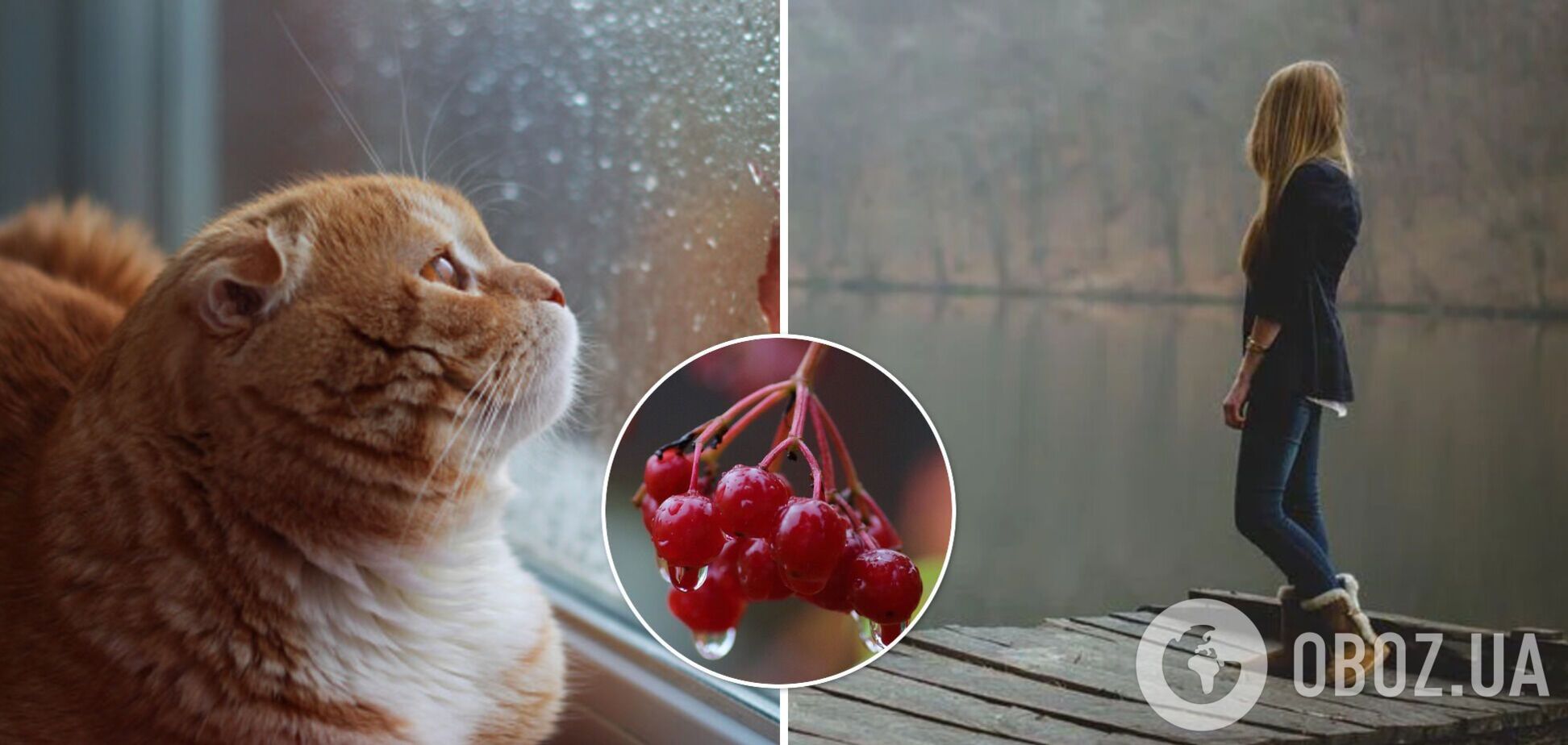 В Україну йде похолодання з дощами: синоптики попередили про зміну погоди. Мапа