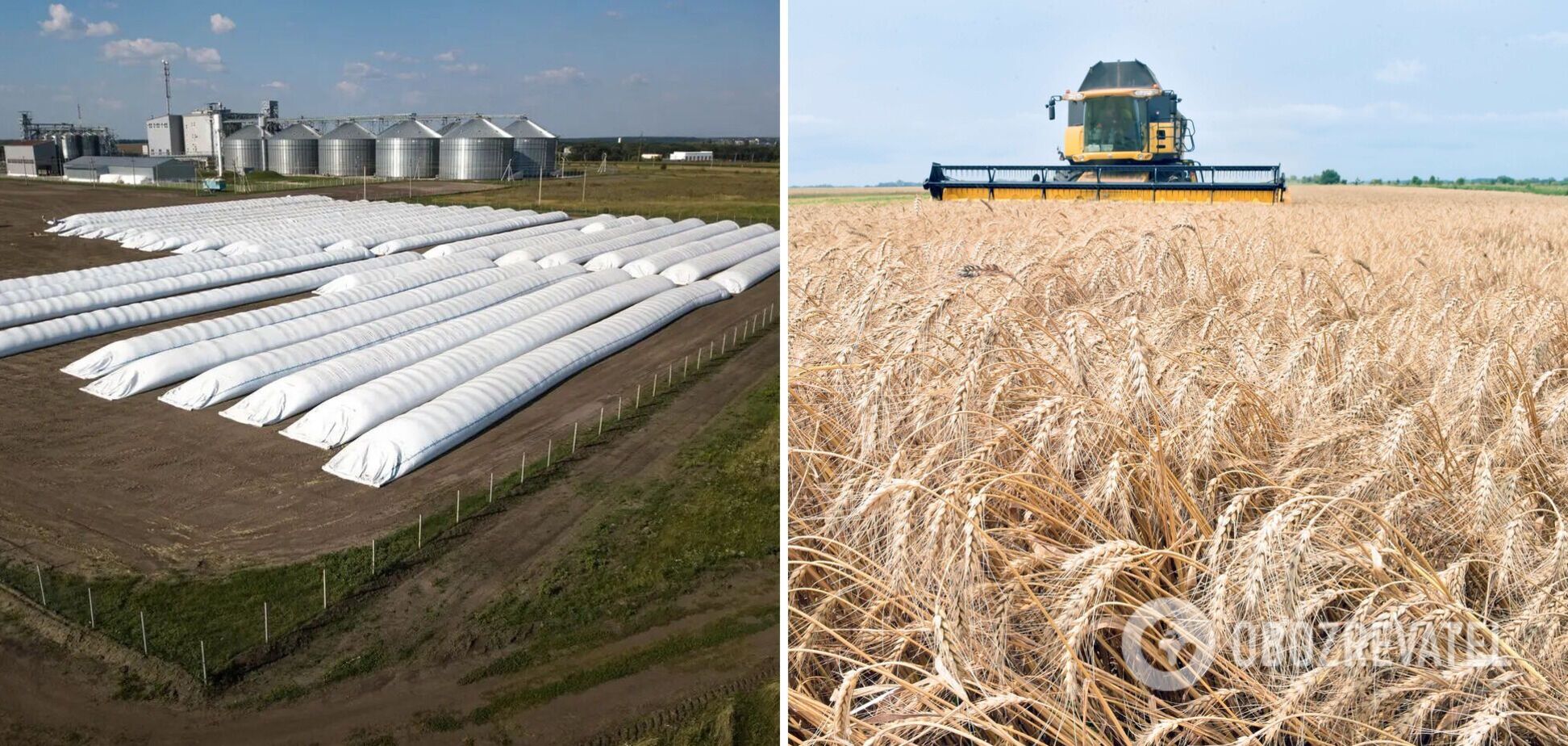 Украина нашла способ сохранить урожай 2022 года