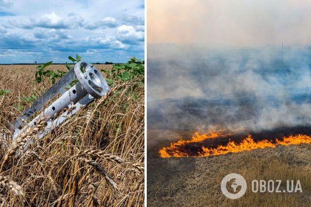 Війна вбиває природу України