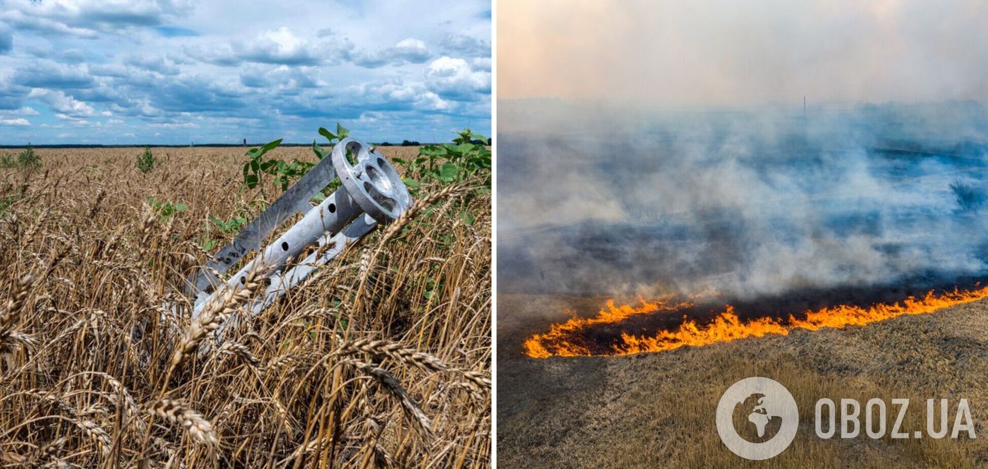 Війна вбиває природу України