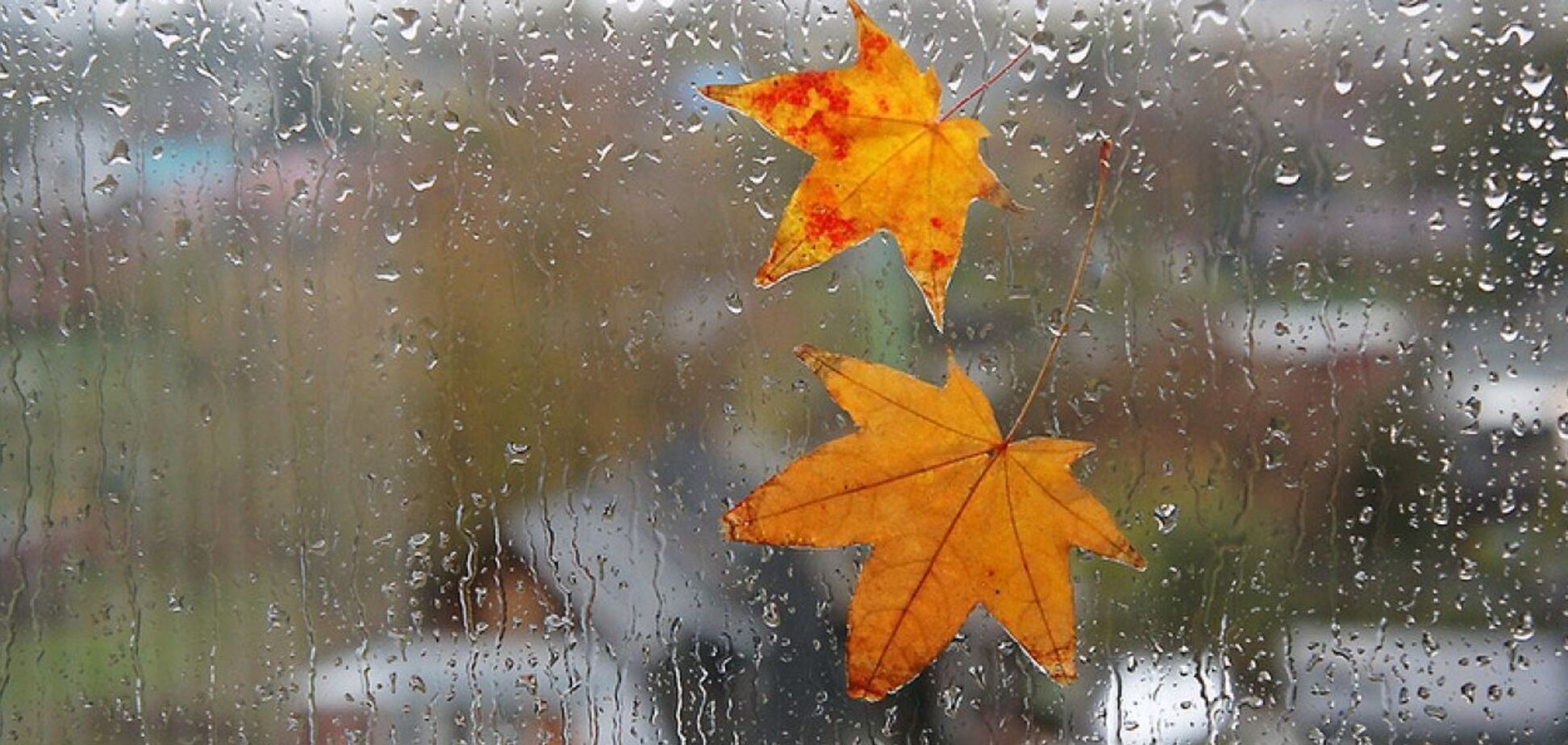 Синоптики прогнозируют дожди в регионе