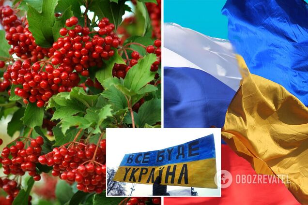 Червона калина