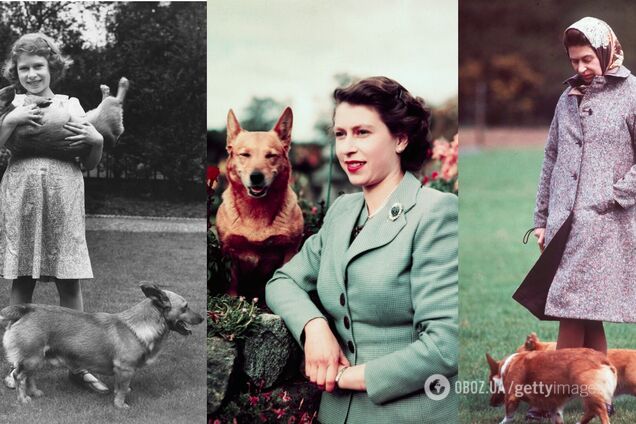 Єлизавета ІІ та її коргі. 10 чуттєвих фото про дружбу тривалістю 80 років