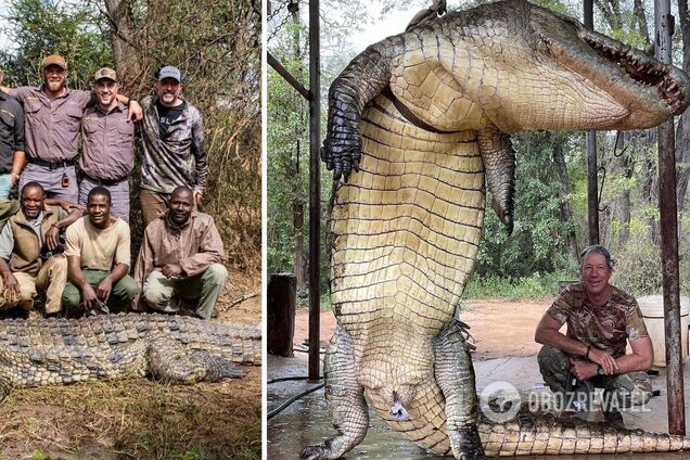 У Зімбабве виловили з озера гігантського крокодила: який вигляд має 'динозавр-людожер' завдовжки 4,5 метри
