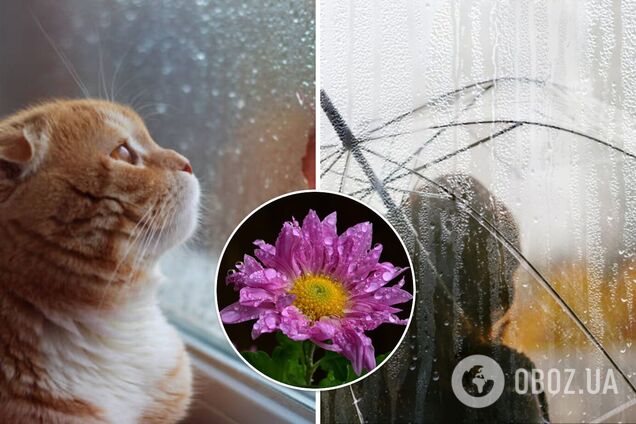 В Україні буде до +26, але з грозами: синоптики дали детальний прогноз на вихідні. Карта