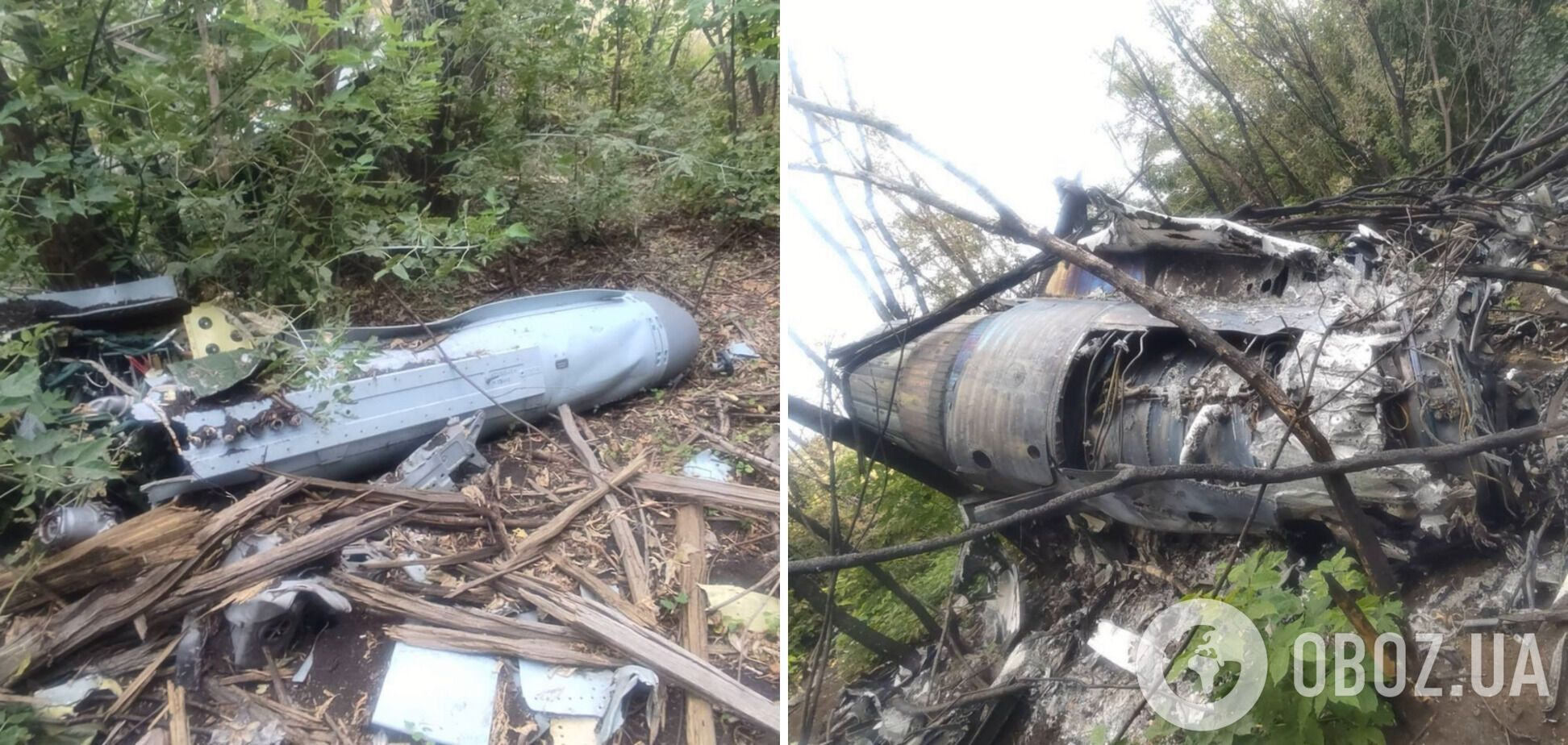 Десантники 80-ї ОДШБр збили російський літак Су-30