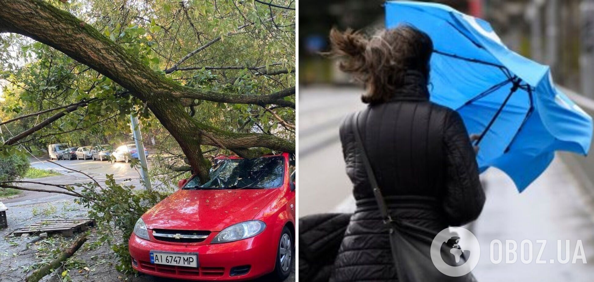 У Києві вітер валив дерева і обривав дроти електропередач, постраждав молодий хлопець. Фото і відео