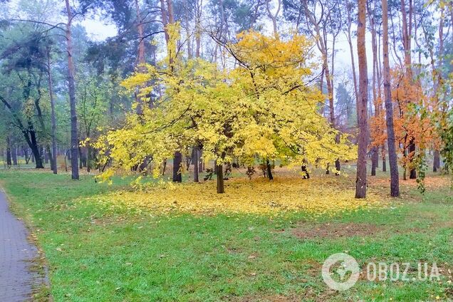 На Киевщине ожидается облачная погода