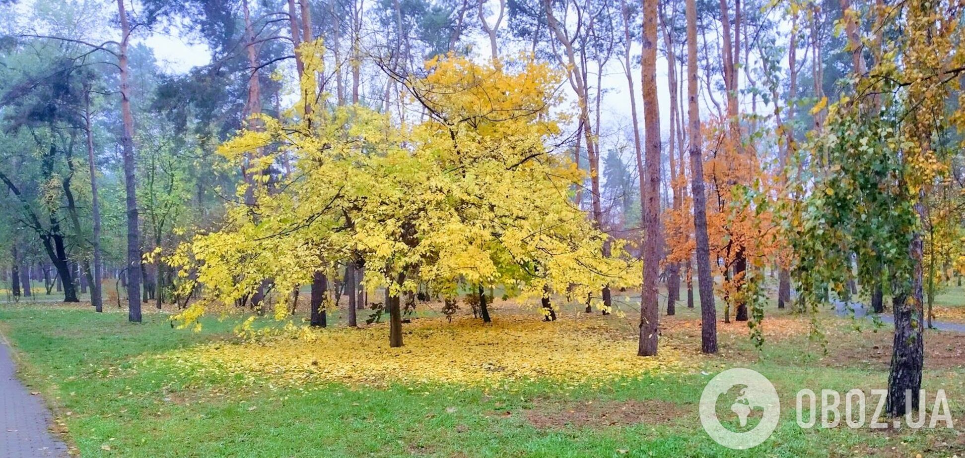 На Киевщине ожидается облачная погода