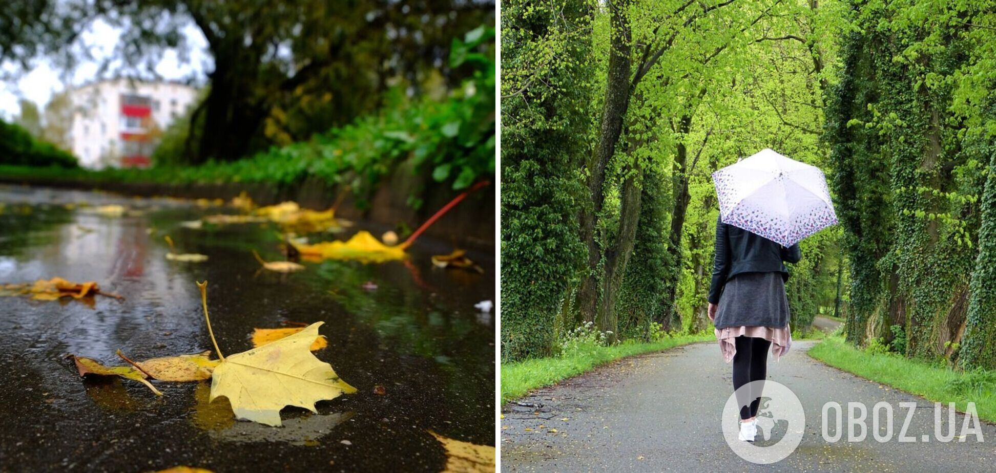 В Україну йдуть дощі, температура впаде до +7: синоптики дали прогноз на суботу. Мапа