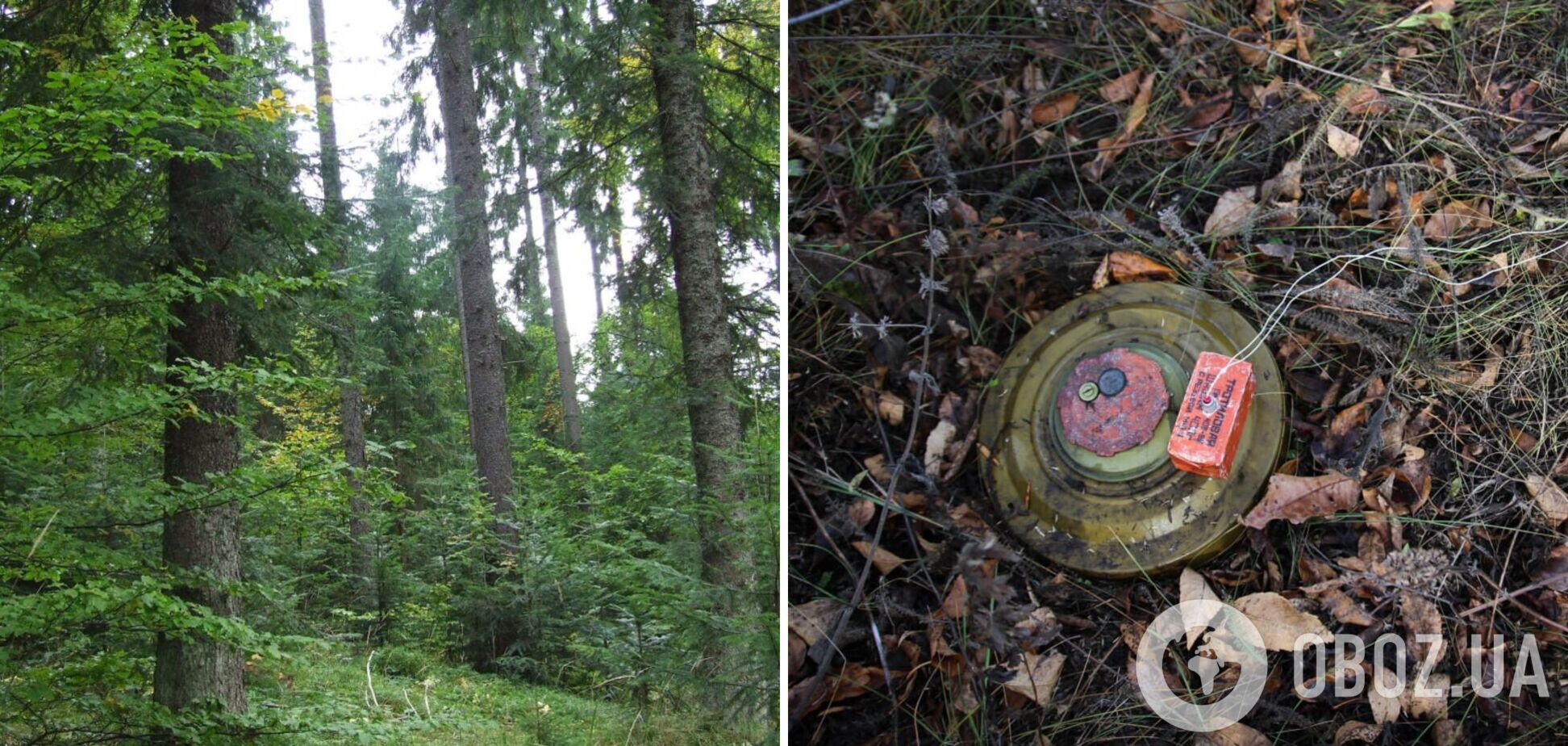 На Житомирщині лісники знову підірвалися на ворожій міні: один загиблий, ще один чоловік отримав поранення 