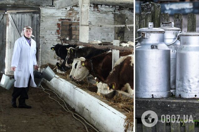 В Украине продолжаются проблемы с производством молока