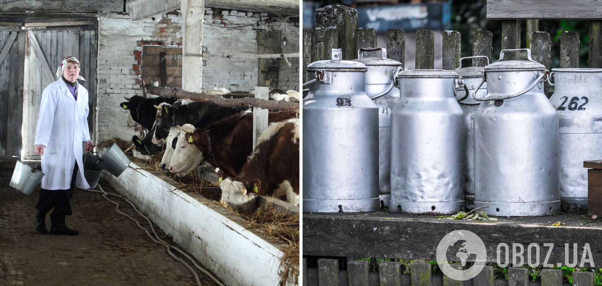 В Україні продовжуються проблеми з виробництвом молока