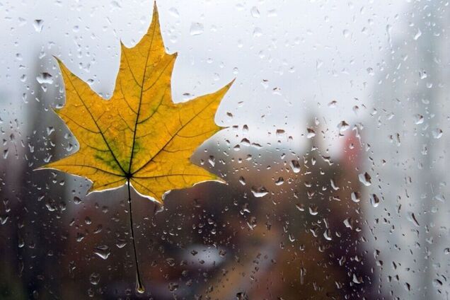 На Киевщине прогнозируются дожди