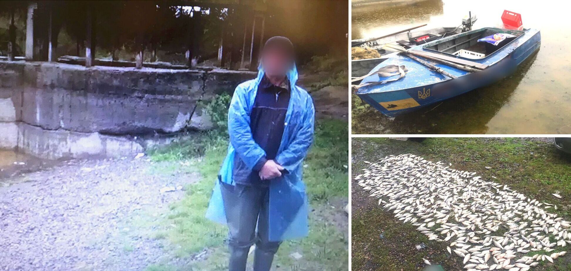 На Киевщине у браконьера изъяли рыбы более чем на 1 млн грн. Фото