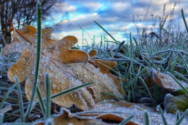 На Київщині прогнозують заморозки