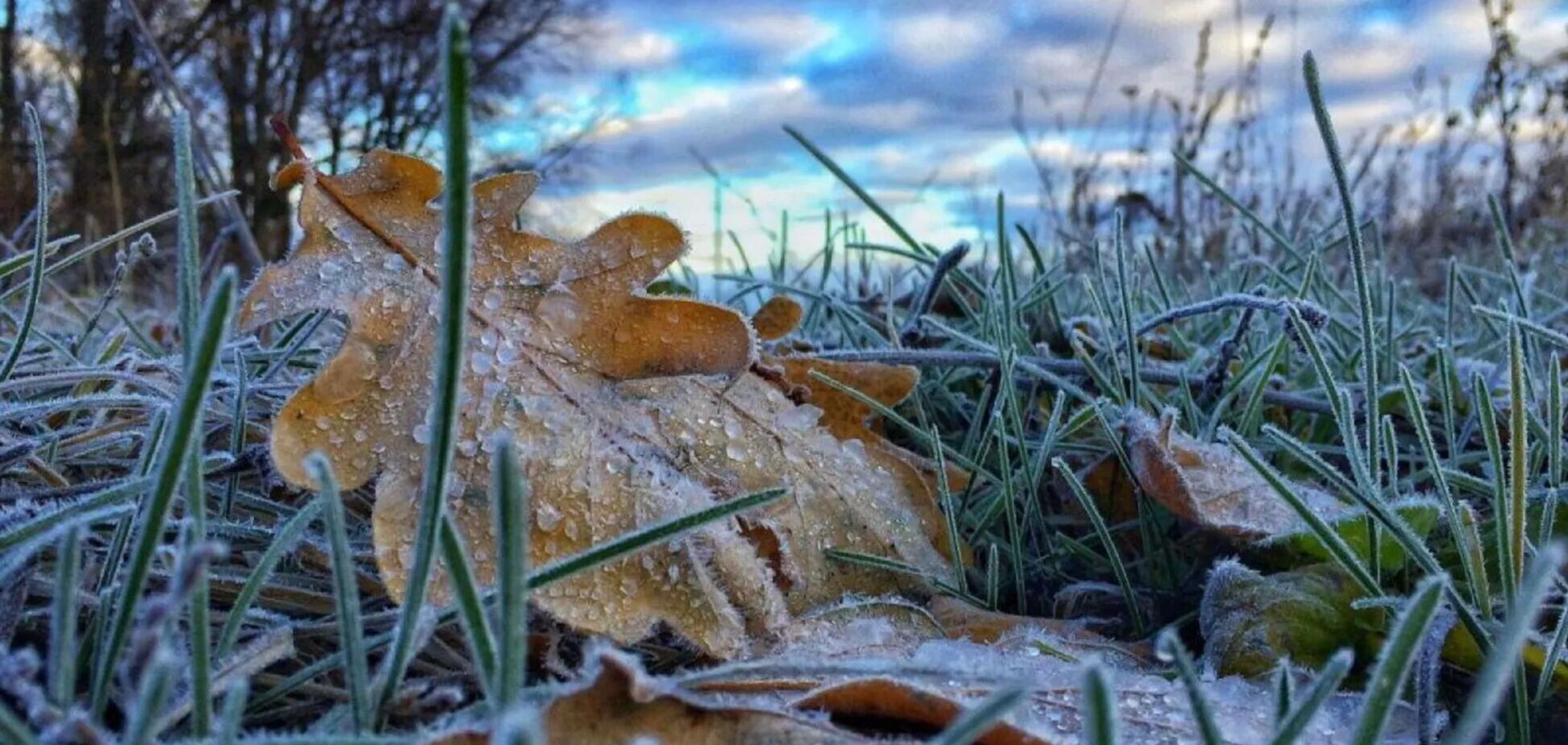 На Київщині прогнозують заморозки