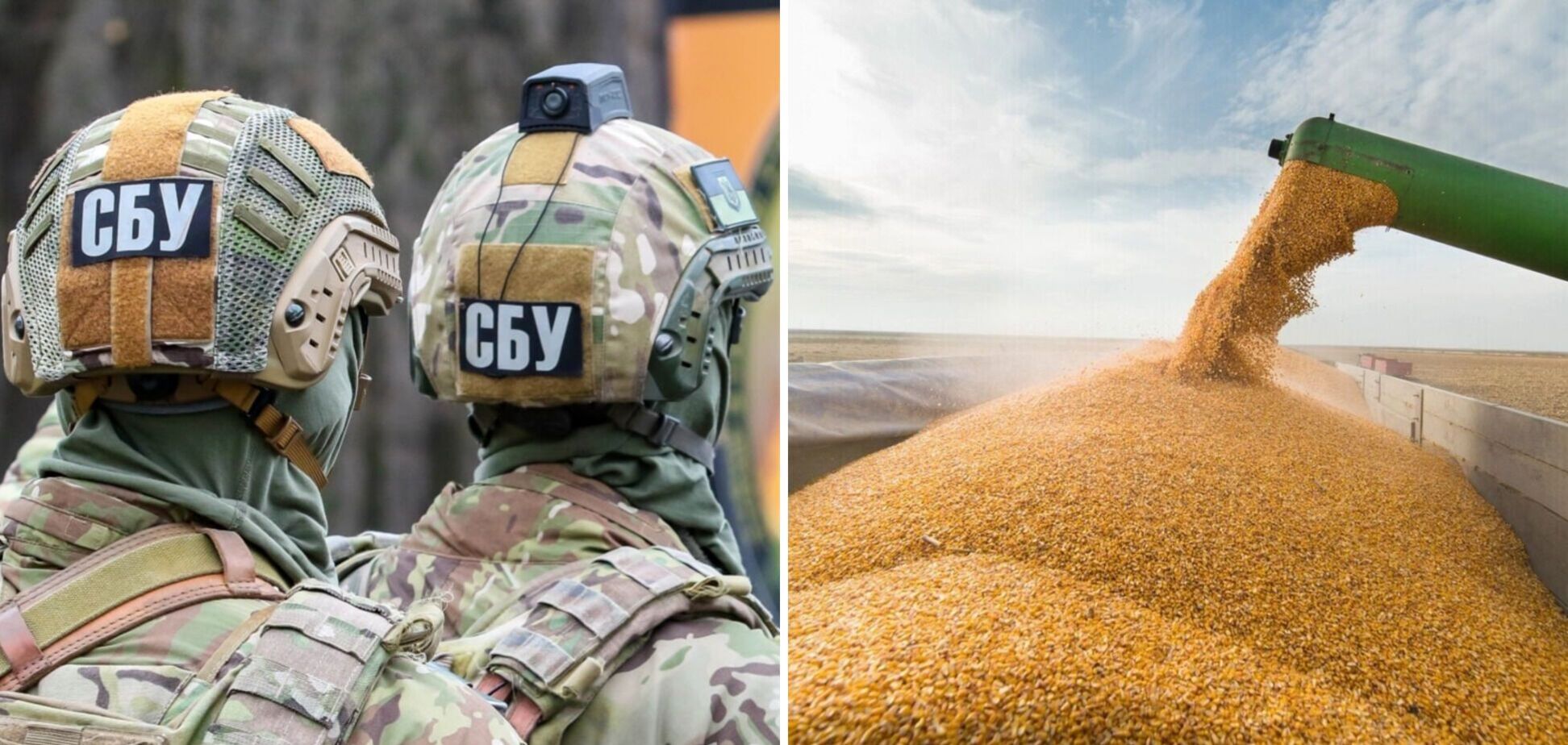 СБУ повідомила про підозру двом 'міністрам' із Криму: причетні до незаконного вивезення українського зерна. Фото