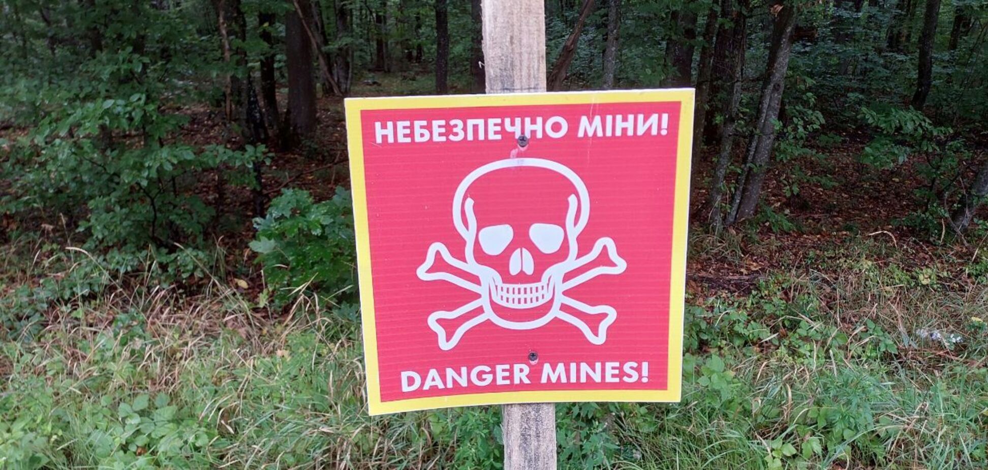 В лесах Киевщины все еще много мин