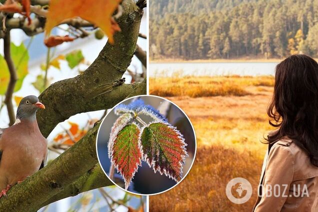 До +17 днем, но с ночными заморозками: синоптики дали прогноз погоды на субботу. Карта