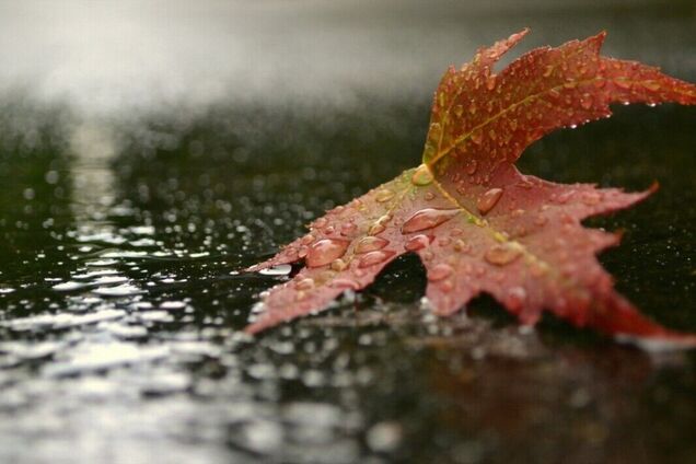 Синоптики прогнозують на Київщині помірний дощ