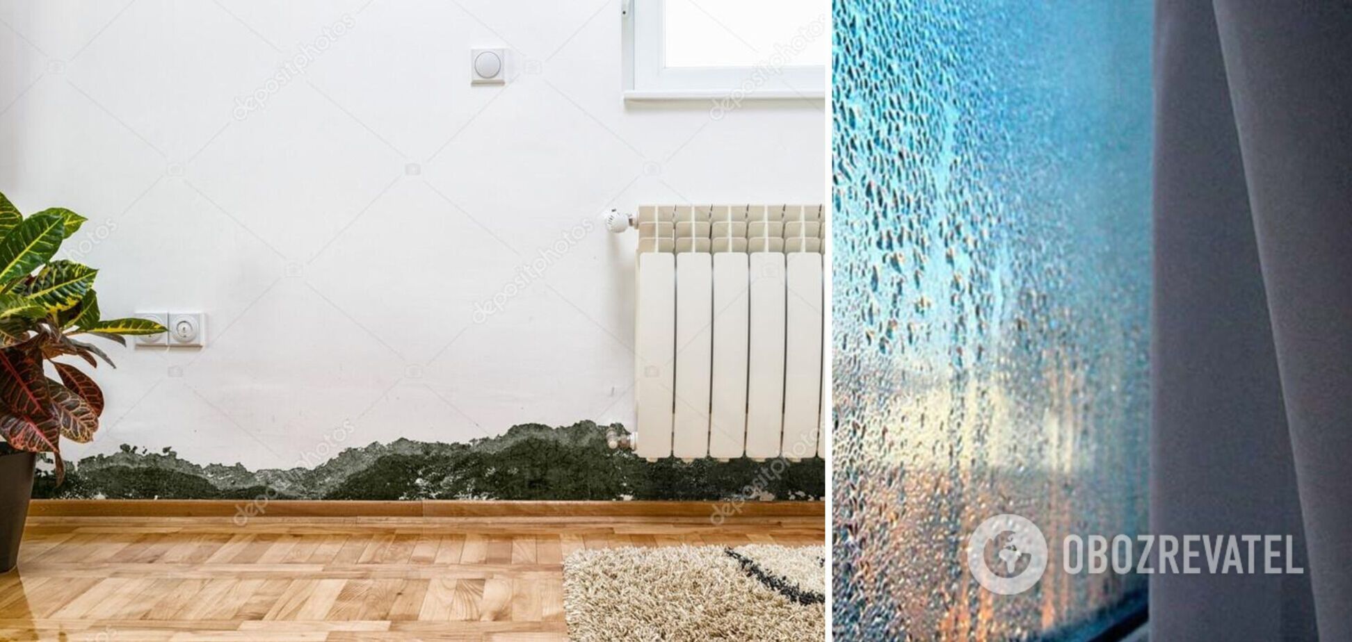 Как избавиться от влажности в квартире: бабушкин метод, который всегда поможет