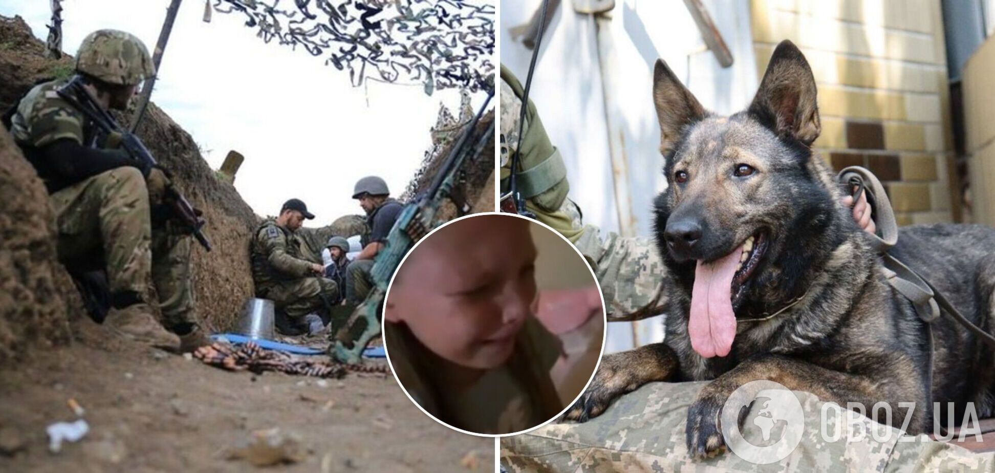 Маленька українка розплакалася, бо подумала, що воїни ЗСУ живуть на вулиці та забирають тушкованку в собак. Вірусне відео