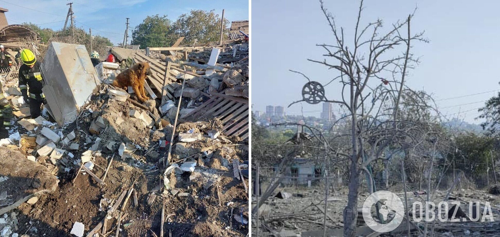 На руинах дома сидел и плакал пес: появились кадры с места гибели от российской ракеты семьи из Днепра. Фото и видео