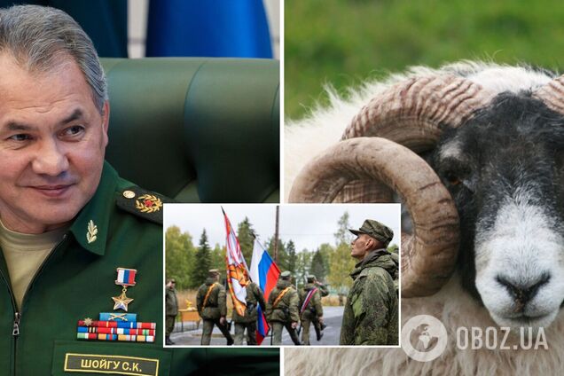 'Цинічний символізм': на батьківщині Шойгу сім'ям мобілізованих пообіцяли дати по одному барану