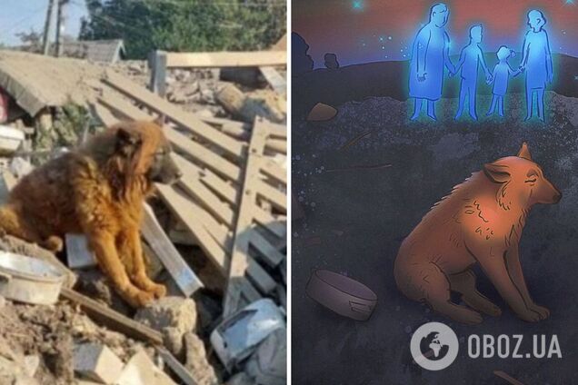 Картина заплаканного пса Крыма на руинах дома в Днепре довела украинцев до слез