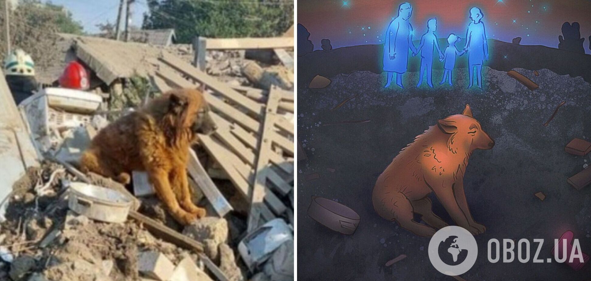 Картина заплаканного пса Крыма на руинах дома в Днепре довела украинцев до слез