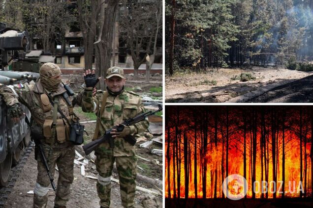 Ліс біля Ізюму вигорів, окупанти ігнорували пожежі