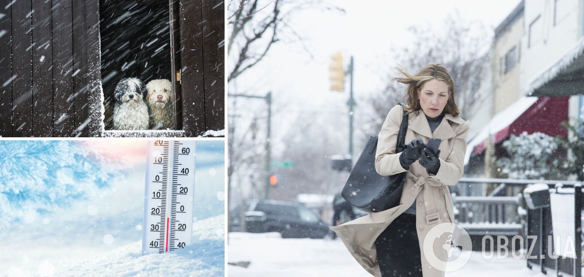 Мало снега и необычное тепло: синоптики рассказали, какой будет зима в Украине