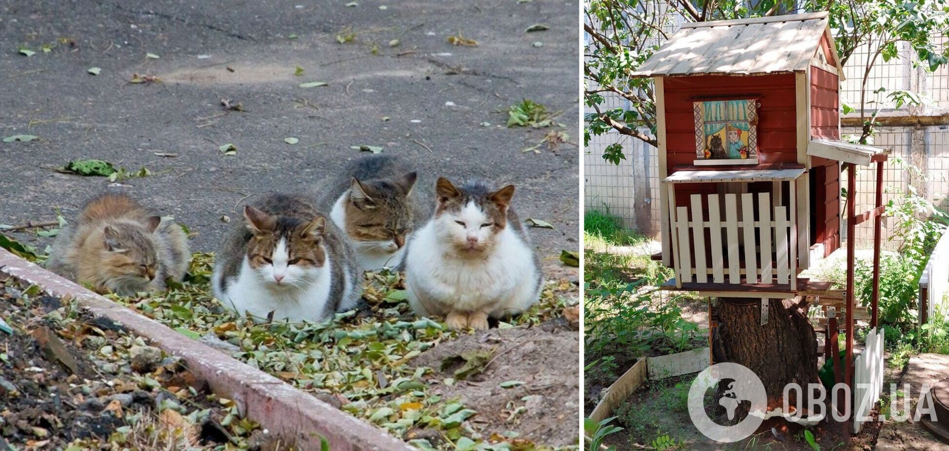 На Оболони появился уникальный домик для котов