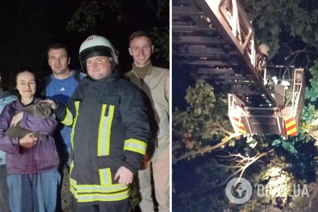 Событие произошло вечером во вторник, 6 сентября