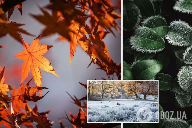 Осенние заморозки