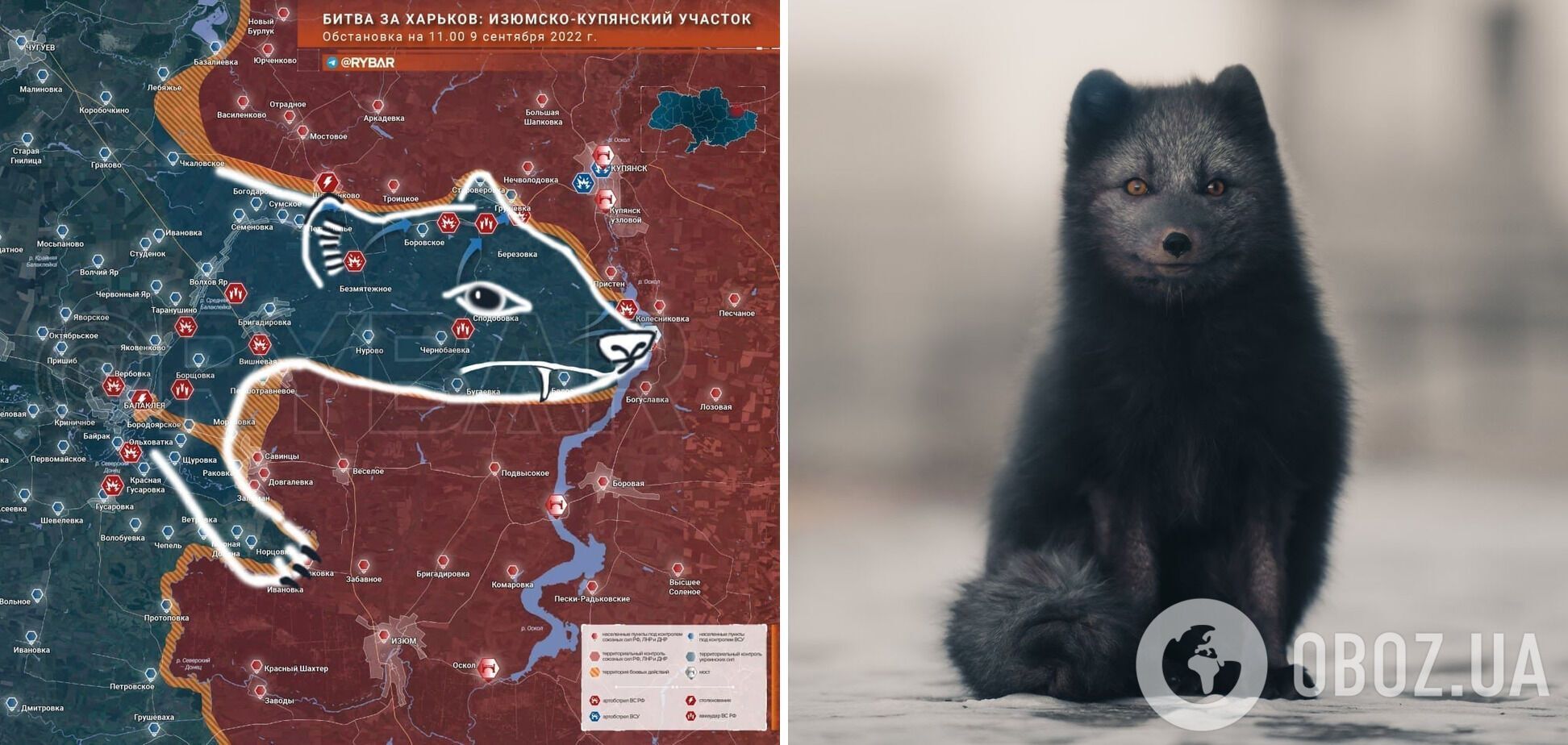 Деоккупированная часть Харьковской области напоминает силуэт полярной лисы