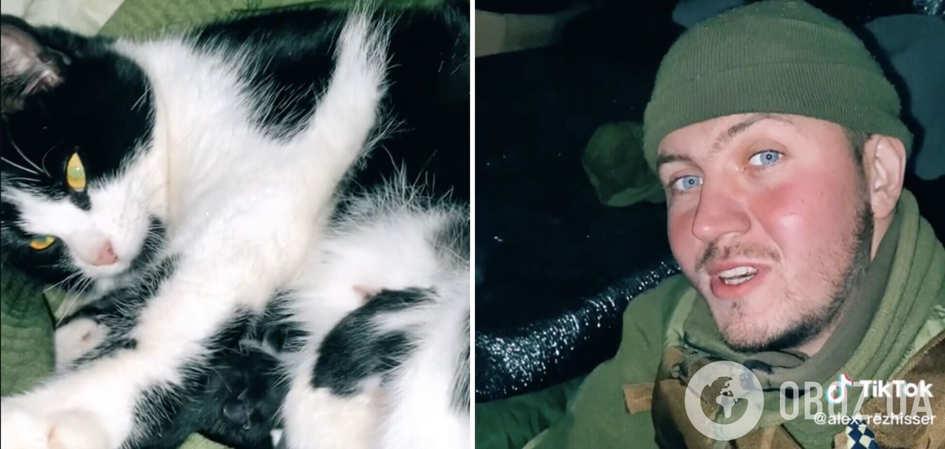 Воїн ЗСУ в окопі під обстрілом прийняв пологи у кішки та показав новонароджених кошенят. Відео