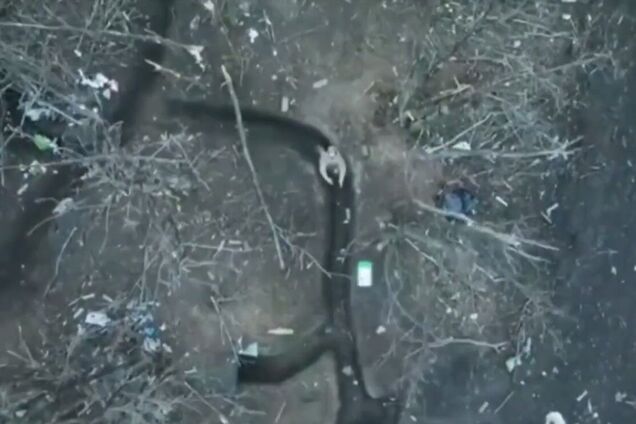 Воины ВСУ передают сахар дроном