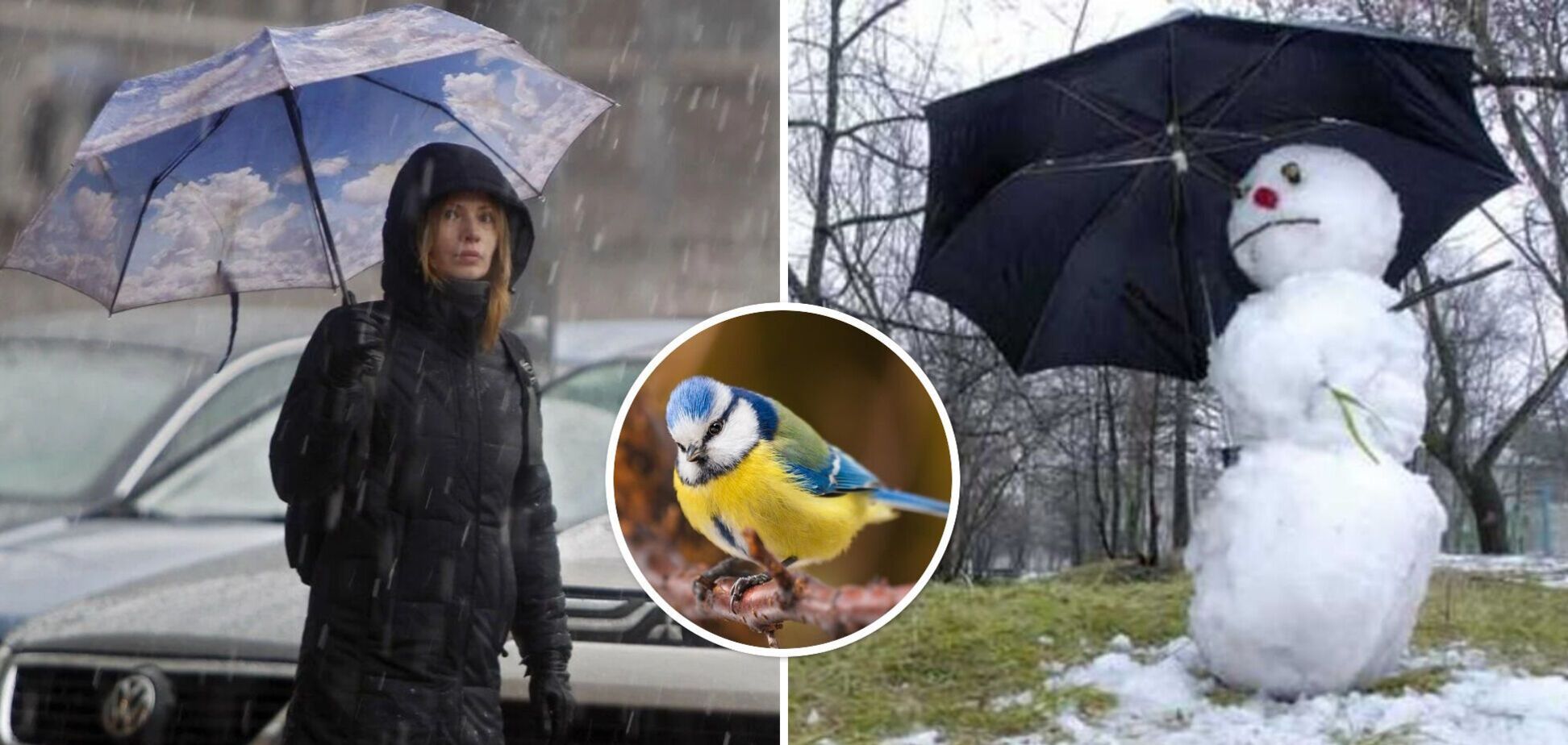 Морози вщухнуть, подекуди мокрий сніг і дощ: в Укргідрометцентрі оновили прогноз погоди на четвер. Карта
