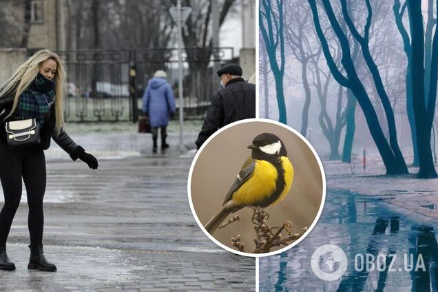 В Украине идет потепление, но на дорогах будет гололедица: синоптик дала детальный прогноз