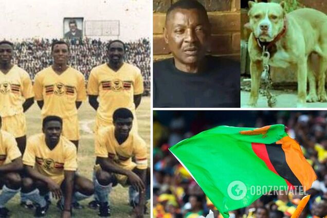 Футболіста-чемпіона загризли на смерть власні собаки