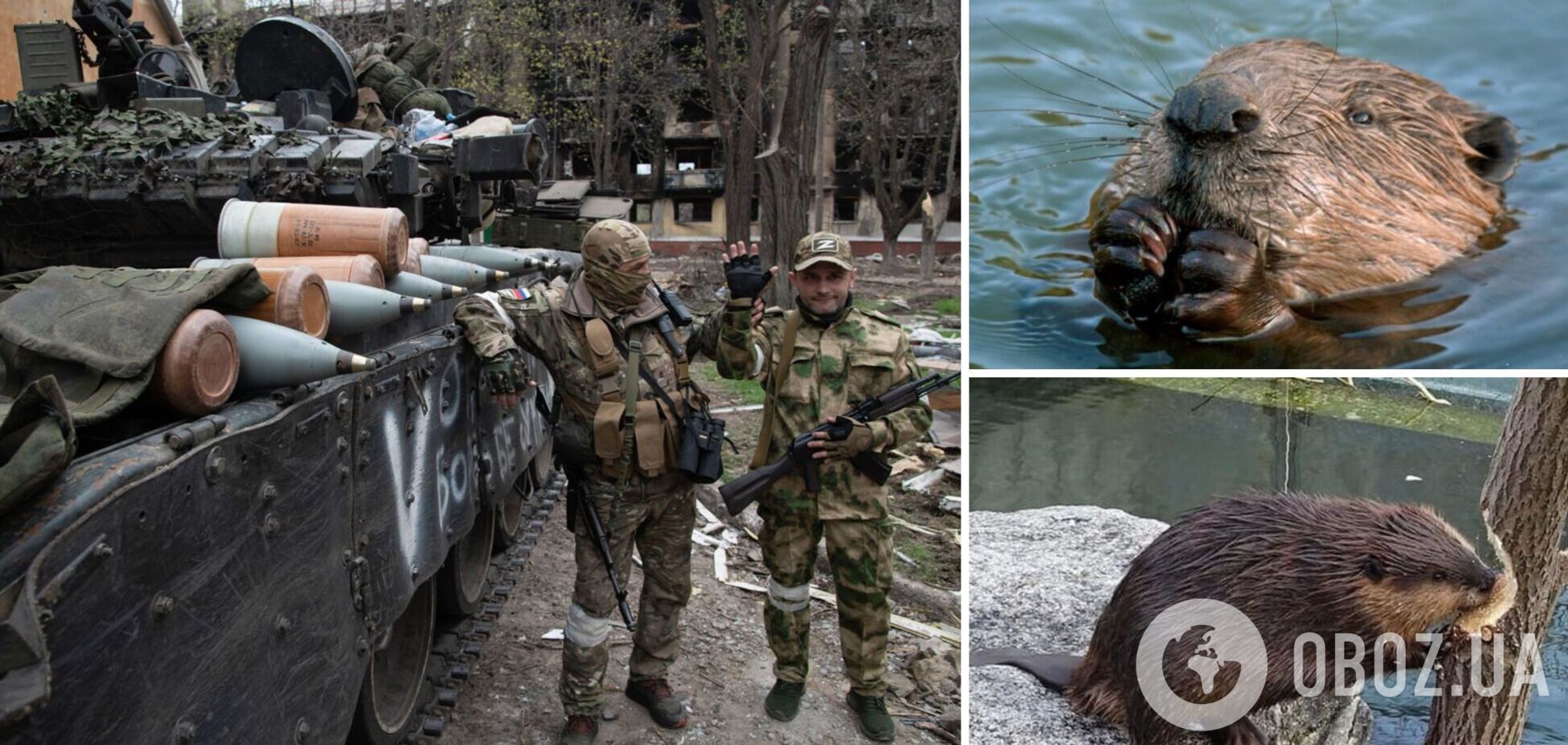 Наступ із Білорусі: на Волині бобри допомогли українським військовим