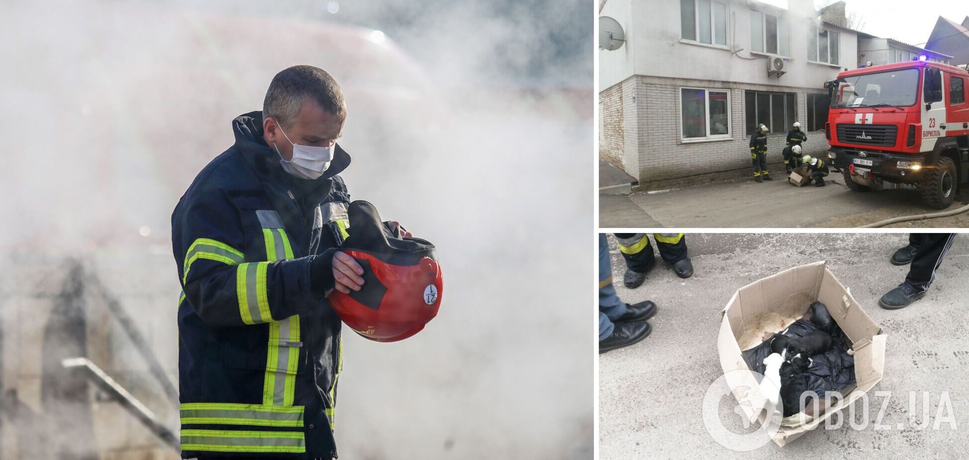 ДСНСники оперативно загасили пожежу та врятували цуценят