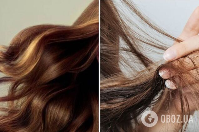 Що робити, щоб волосся було густим і блискучим: 10 головних правил