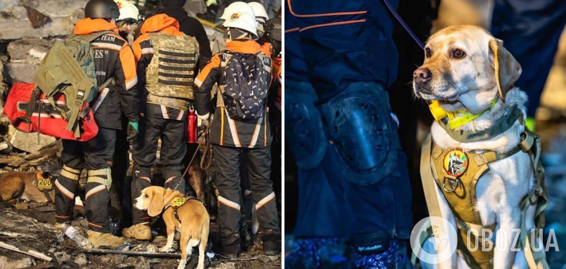 Пошуками людей під завалами займаються собаки